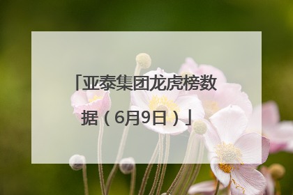亚泰集团龙虎榜数据（6月9日）