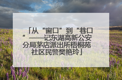 从“窗口”到“巷口”——记东湖高新公安分局茅店派出所梧桐苑社区民警樊艳玲