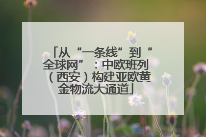 从“一条线”到“全球网”：中欧班列（西安）构建亚欧黄金物流大通道