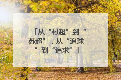 从“村超”到“苏超”，从“追球”到“追求”