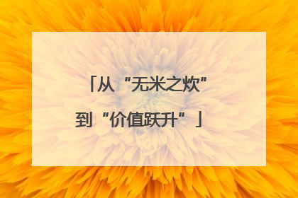 从“无米之炊”到“价值跃升”