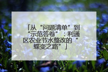从“问题清单”到“示范答卷”：利通区农业节水整改的“蝶变之路”