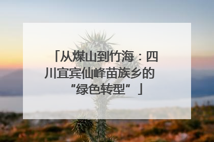 从煤山到竹海：四川宜宾仙峰苗族乡的“绿色转型”