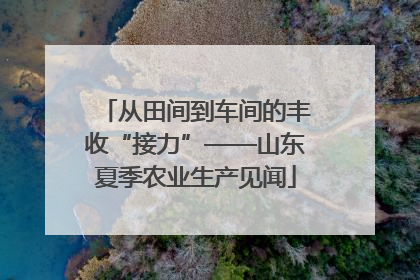 从田间到车间的丰收“接力”——山东夏季农业生产见闻
