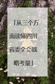 从三个方面读懂四川省委全会战略考量
