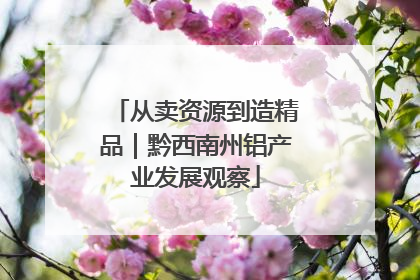 从卖资源到造精品｜黔西南州铝产业发展观察
