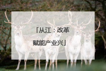 从江：改革赋能产业兴