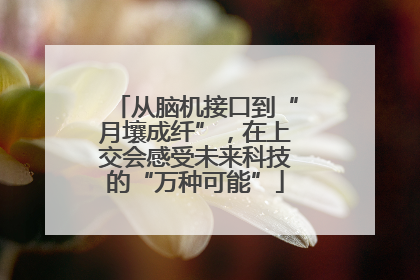 从脑机接口到“月壤成纤”，在上交会感受未来科技的“万种可能”