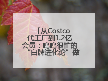 从Costco代工厂到1.2亿会员：鸣鸣很忙的“白牌进化论”做对了什么？