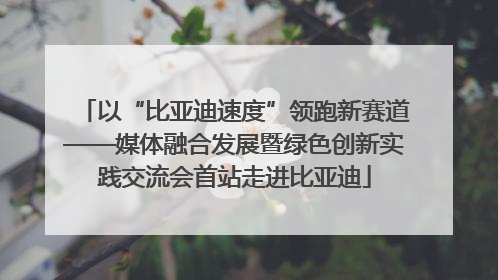 以“比亚迪速度”领跑新赛道——媒体融合发展暨绿色创新实践交流会首站走进比亚迪