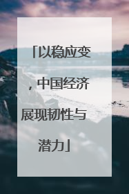 以稳应变，中国经济展现韧性与潜力