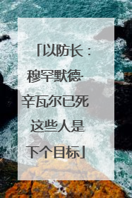 以防长：穆罕默德·辛瓦尔已死 这些人是下个目标