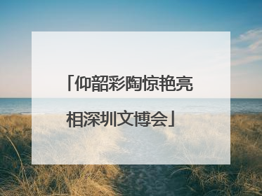 仰韶彩陶惊艳亮相深圳文博会