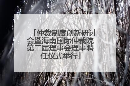 仲裁制度创新研讨会暨海南国际仲裁院第二届理事会理事聘任仪式举行