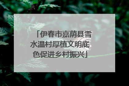伊春市嘉荫县雪水温村厚植文明底色促进乡村振兴