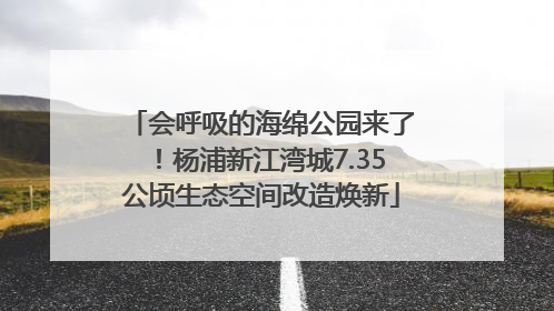 会呼吸的海绵公园来了！杨浦新江湾城7.35公顷生态空间改造焕新