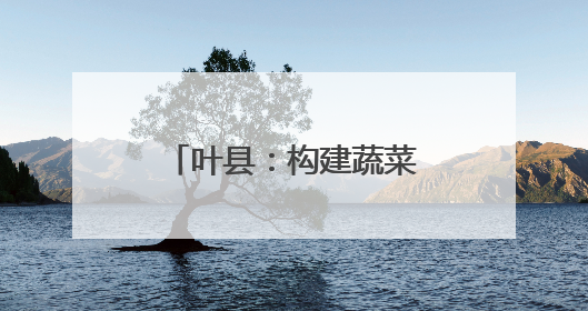 叶县：构建蔬菜产业体系 带动群众增收致富