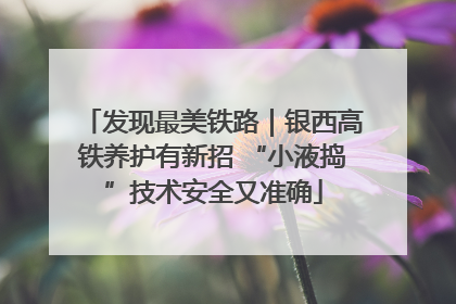 发现最美铁路｜银西高铁养护有新招 “小液捣”技术安全又准确