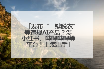 发布“一键脱衣”等违规AI产品？涉小红书、哔哩哔哩等平台！上海出手