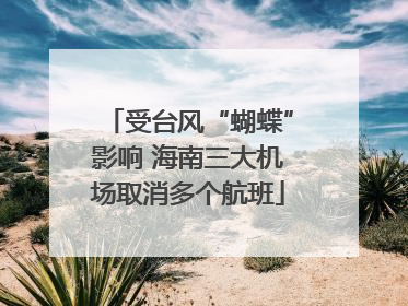 受台风“蝴蝶”影响 海南三大机场取消多个航班