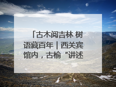 古木阅吉林 树语藏百年｜西关宾馆内，古榆“讲述”时光絮语