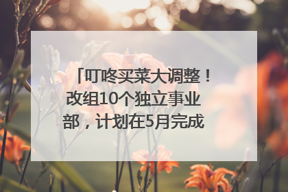 叮咚买菜大调整！改组10个独立事业部，计划在5月完成App端全面改版