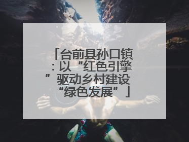 台前县孙口镇：以“红色引擎”驱动乡村建设“绿色发展”