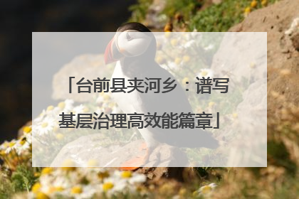 台前县夹河乡：谱写基层治理高效能篇章