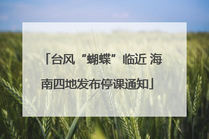 台风“蝴蝶”临近 海南四地发布停课通知
