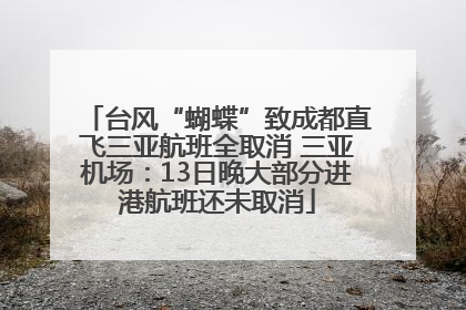 台风“蝴蝶”致成都直飞三亚航班全取消 三亚机场：13日晚大部分进港航班还未取消
