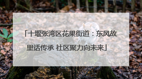 十堰张湾区花果街道：东风故里话传承 社区聚力向未来