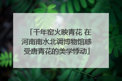 千年窑火映青花 在河南南水北调博物馆感受唐青花的美学悸动