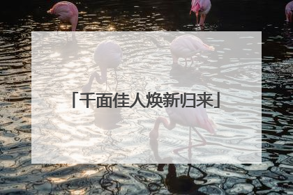 千面佳人焕新归来