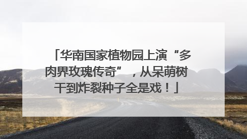 华南国家植物园上演“多肉界玫瑰传奇”，从呆萌树干到炸裂种子全是戏！