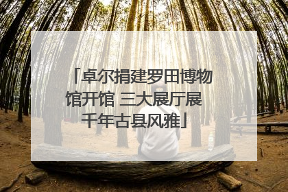 卓尔捐建罗田博物馆开馆 三大展厅展千年古县风雅