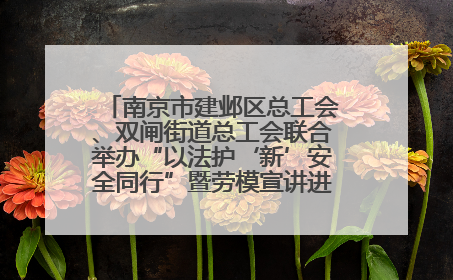 南京市建邺区总工会、双闸街道总工会联合举办“以法护‘新’安全同行”暨劳模宣讲进工地服务活动