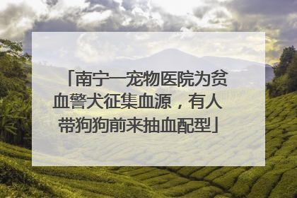 南宁一宠物医院为贫血警犬征集血源，有人带狗狗前来抽血配型