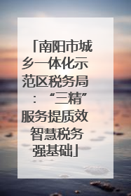 南阳市城乡一体化示范区税务局：“三精”服务提质效 智慧税务强基础