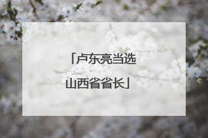卢东亮当选山西省省长