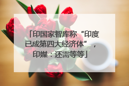 印国家智库称“印度已成第四大经济体”，印媒：还需等等