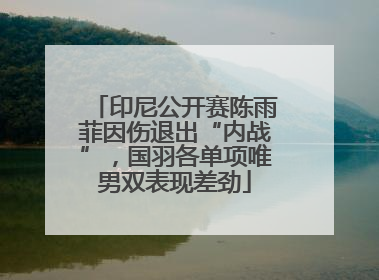 印尼公开赛陈雨菲因伤退出“内战”，国羽各单项唯男双表现差劲