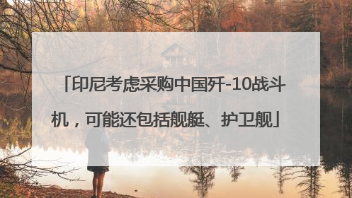 印尼考虑采购中国歼-10战斗机，可能还包括舰艇、护卫舰