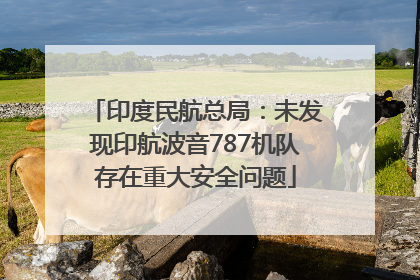印度民航总局：未发现印航波音787机队存在重大安全问题