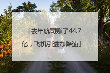 去年航司赚了44.7亿，飞机引进却降速