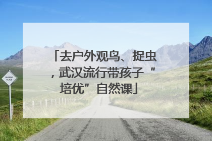 去户外观鸟、捉虫，武汉流行带孩子“培优”自然课