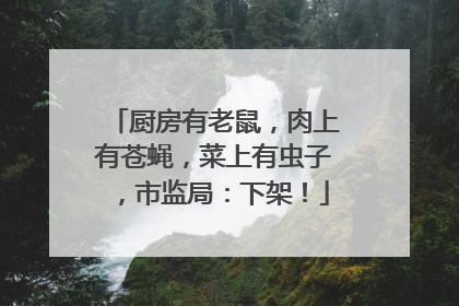 厨房有老鼠，肉上有苍蝇，菜上有虫子，市监局：下架！