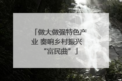 做大做强特色产业 奏响乡村振兴“富民曲”