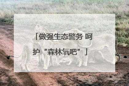 做强生态警务 呵护“森林氧吧”
