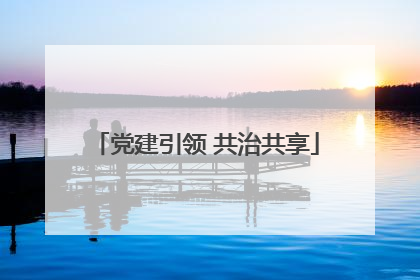 党建引领 共治共享