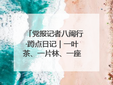 党报记者八闽行·蹲点日记｜一叶茶、一片林、一座厂的振兴接力